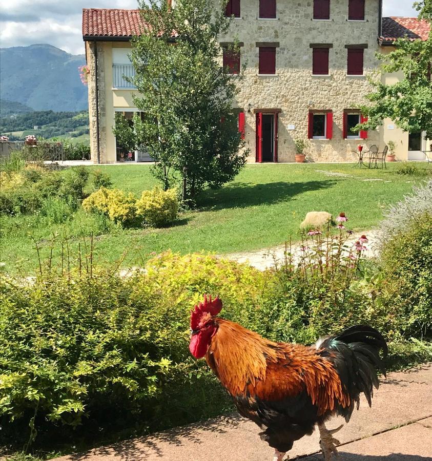 Agriturismo Lemire Bed & Breakfast San Pietro Di Feletto Exterior foto